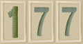 Troop 177